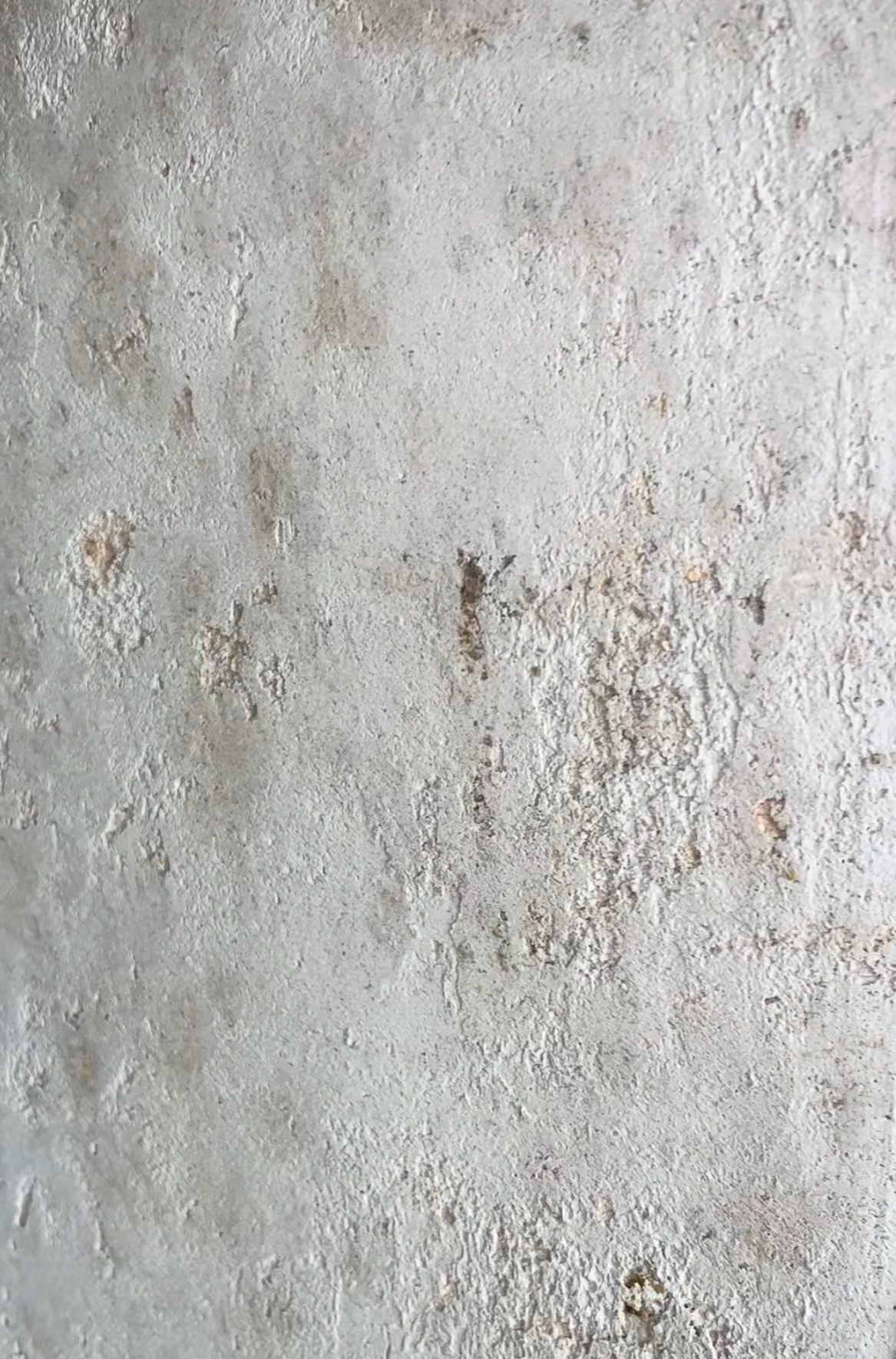 Mineral Plaster with Limewash
