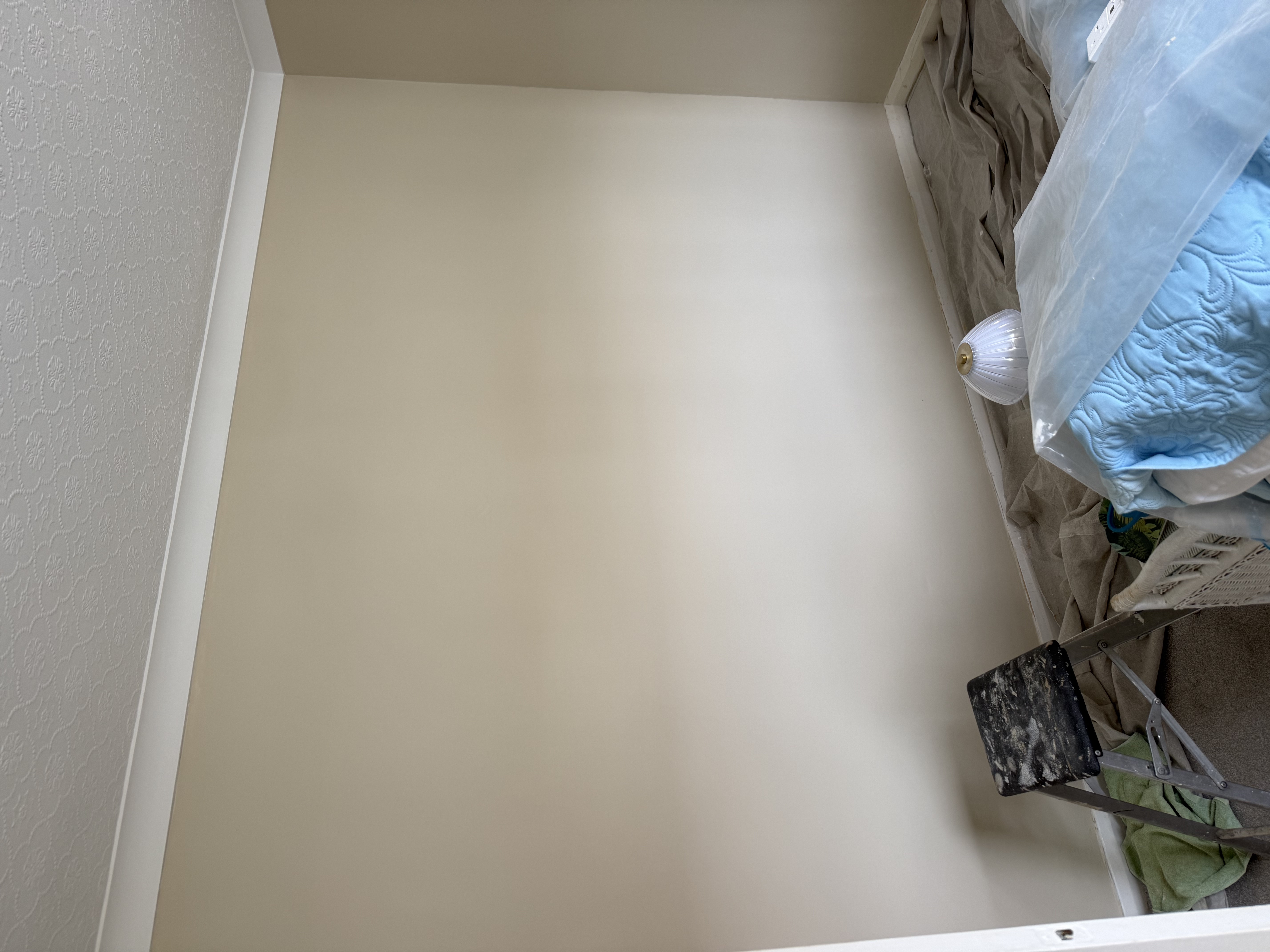 Painting & Coving