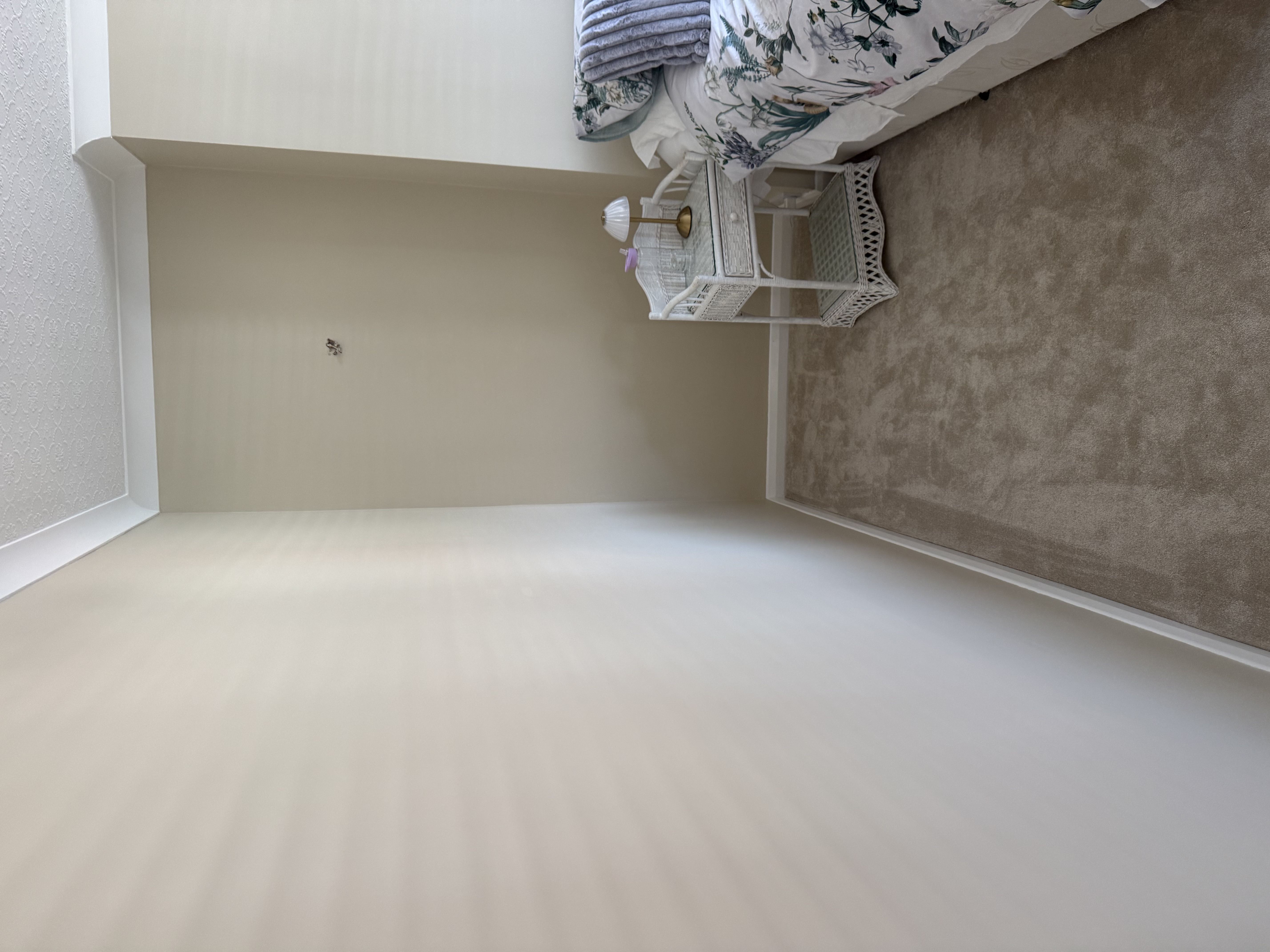Premium Paint & Coving