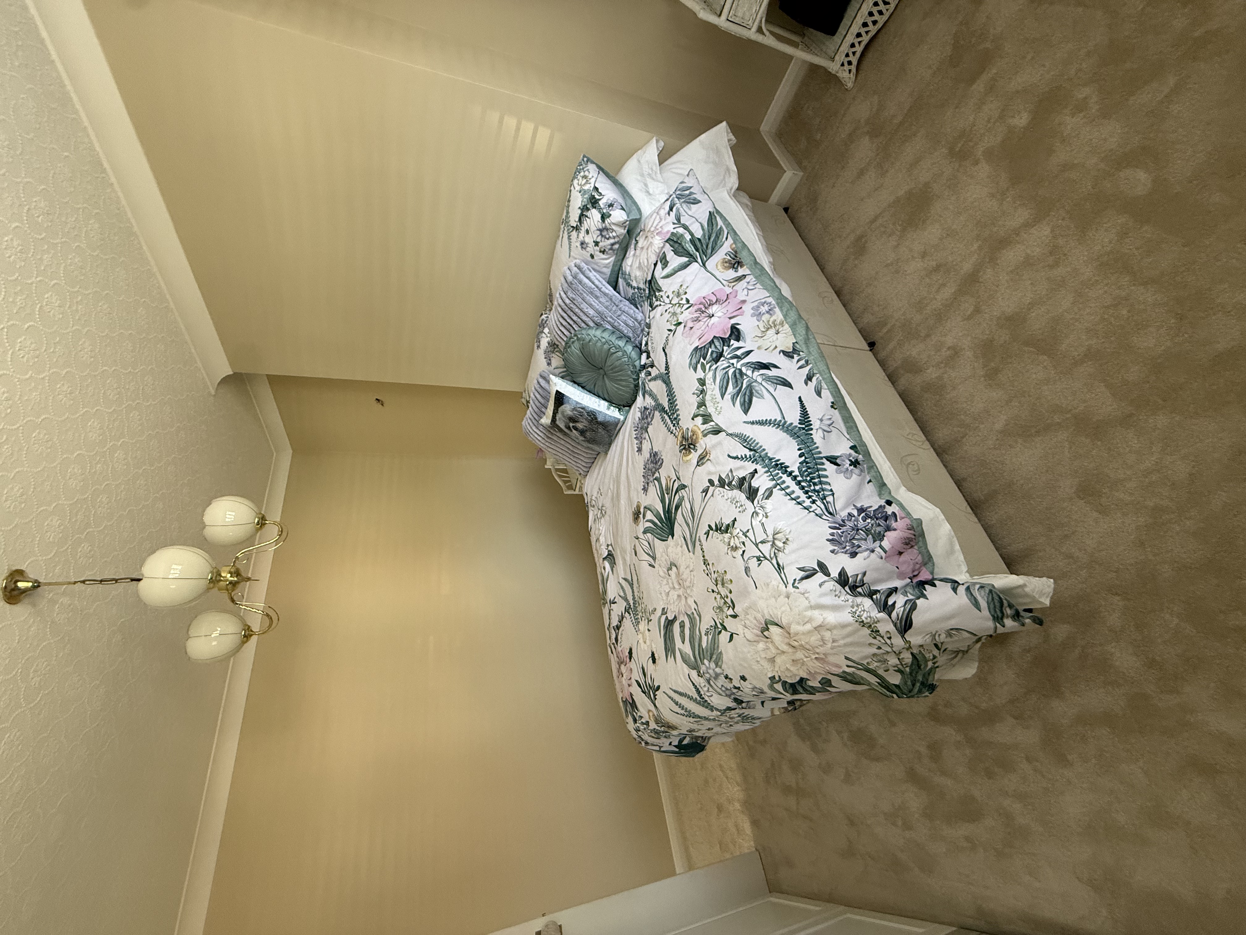 Premium Paint & Coving