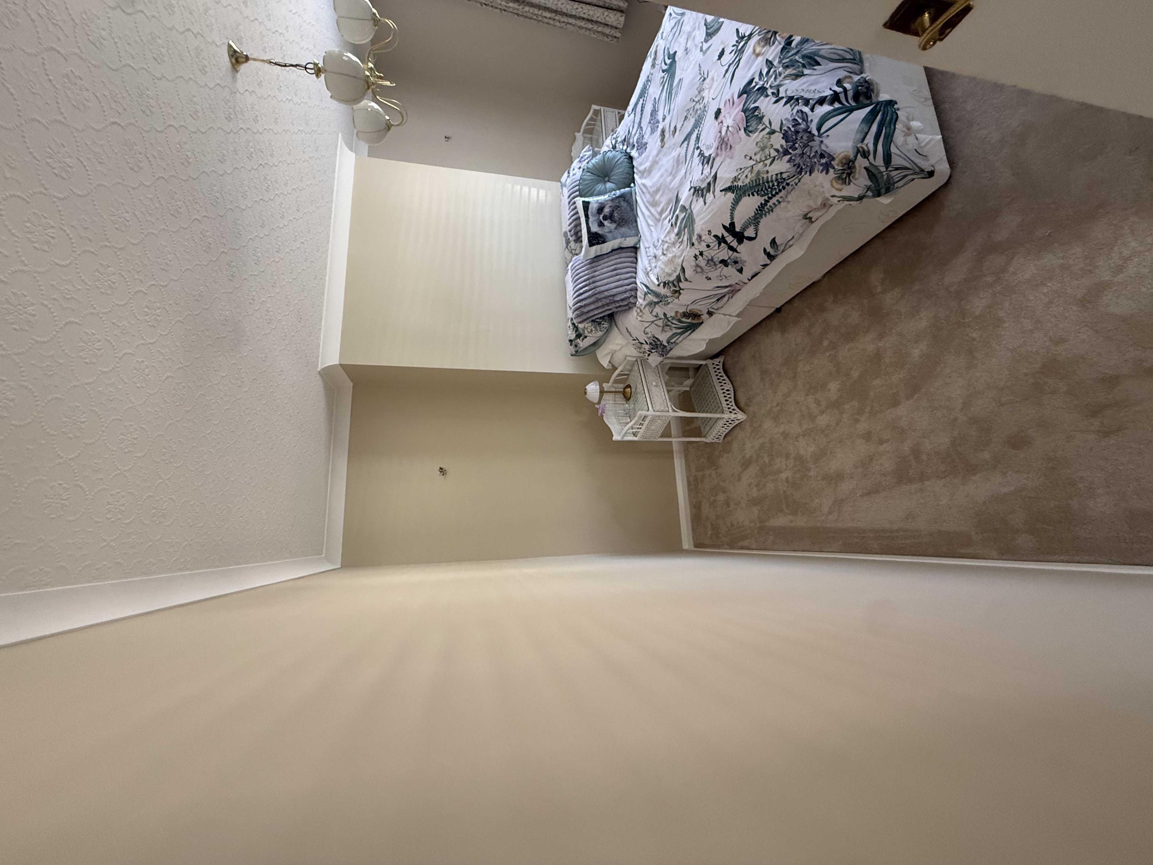 Premium Paint & Coving